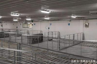 養豬場水泡糞模式 四大關鍵養豬設備注意事項