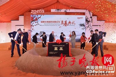 碩騰蘇州新工廠園區奠基 深化本土布局，賦能中國畜牧業高質量發展